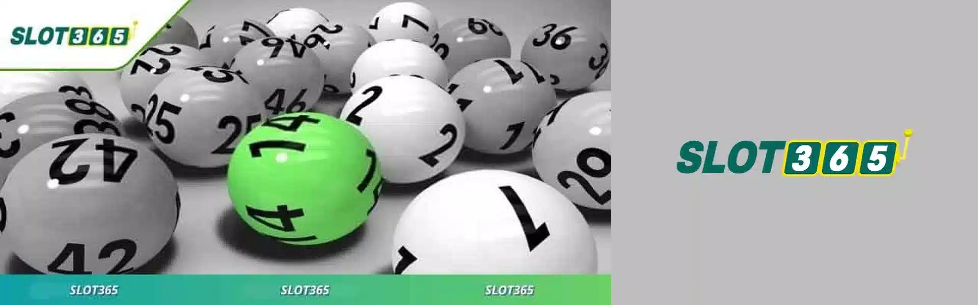 SLOT365 Banner
