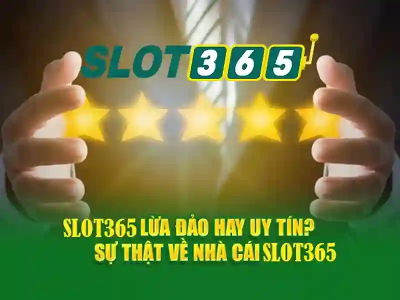 Hỗ trợ khách hàng Slot365