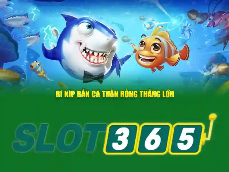 Tại Sao Nên Chọn Slot365