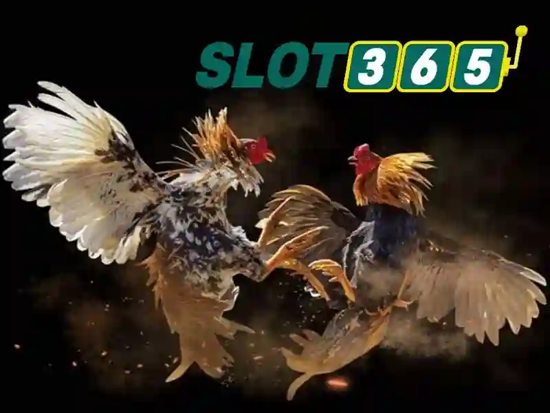 Hướng Dẫn Slot365