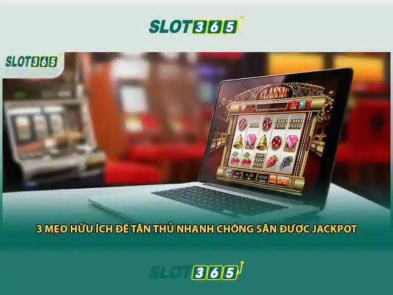Nền Tảng Slot365