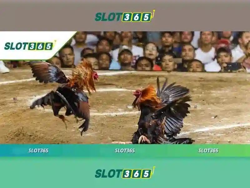 Game Bài 3D Slot365