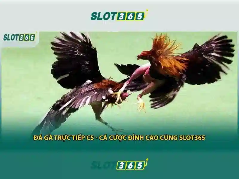 SLOT365 - Trải Nghiệm Slot365 Ap Đỉnh Cao Cho Người Chơi 2026