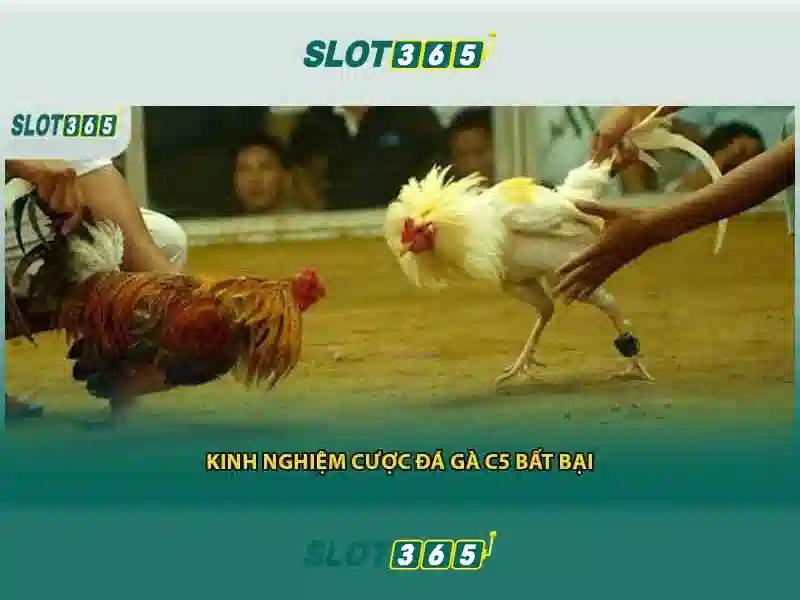 Trải Nghiệm Slot365