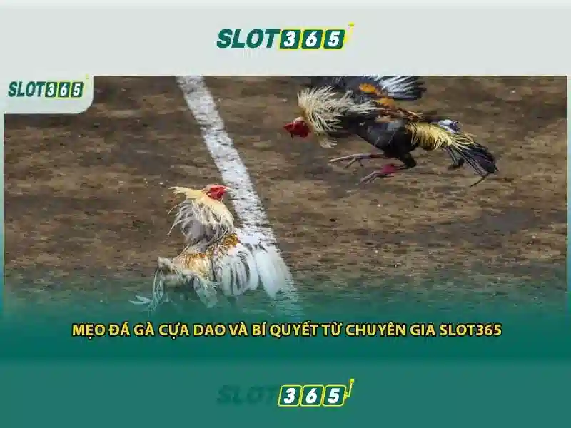 Đăng Ký SLOT365