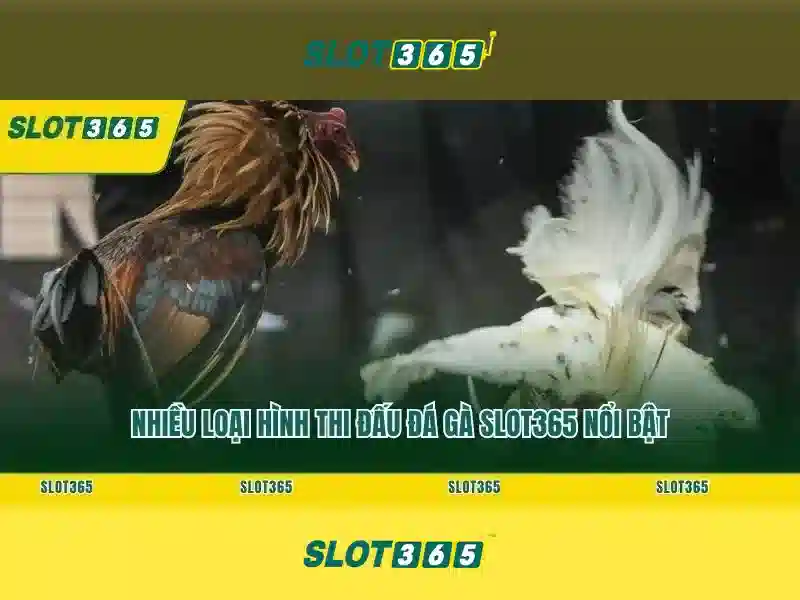 slot365 tại