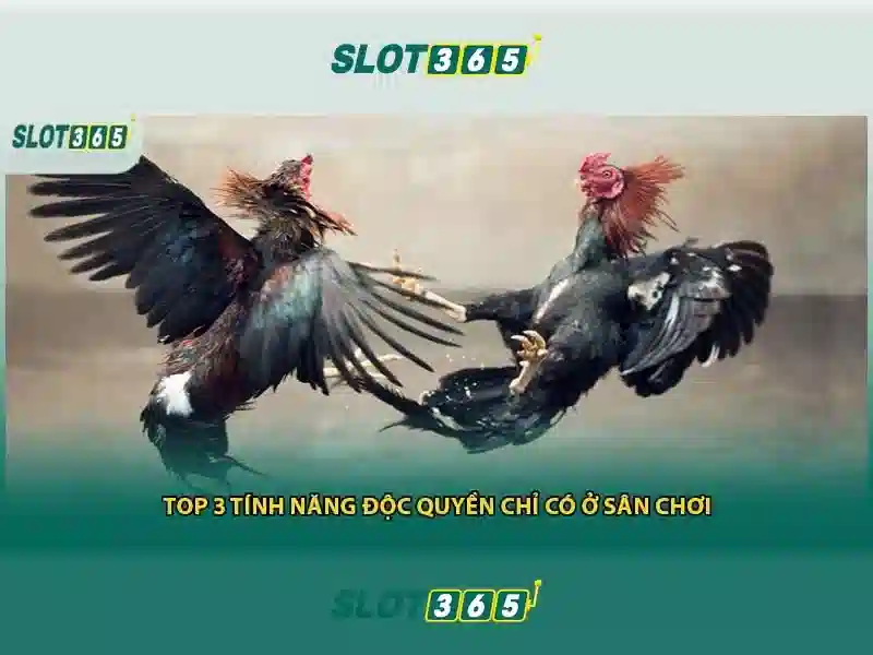 Trải nghiệm Slot365