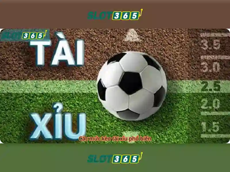 Slot365 An Toàn Không