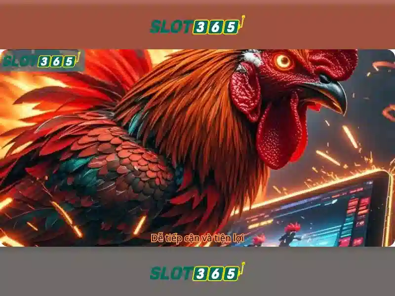 Slot365 Bet