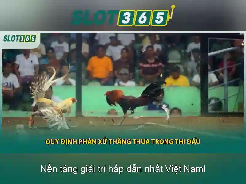ưu đãi slot365 2026