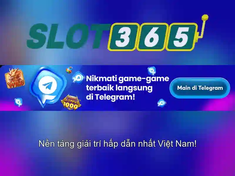 Điều khoản và điều kiện SLOT365
