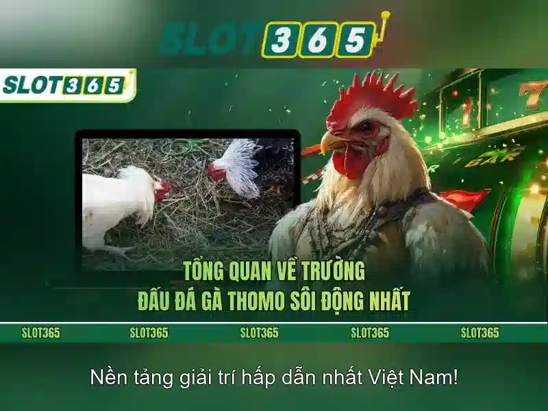 Chương Trình Tặng Kém Cực Hấp Dẫn