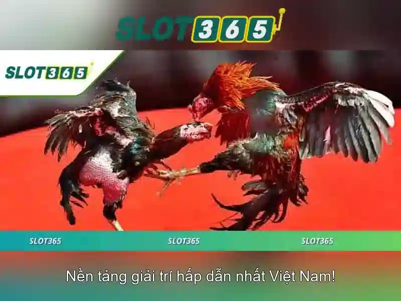 mẹo chơi Slot365