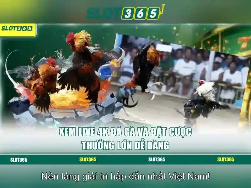 Đặc Điểm Nổi Bật Của Slot365 uy tín không