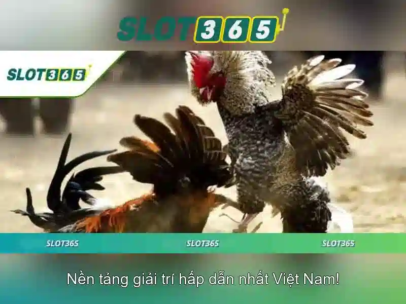 SLOT365