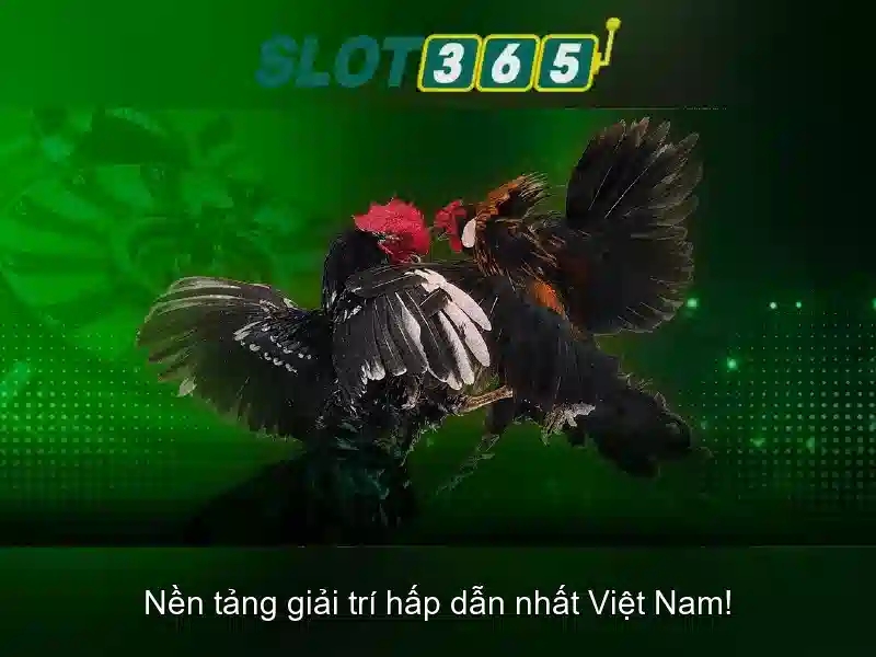 Giới Thiệu Về SLOT365