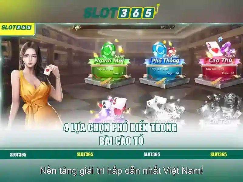 Quyền Riêng Tư SLOT365 – Bảo Vệ Thông Tin Người Dùng 2026