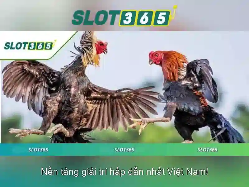 Hướng Dẫn Slot365