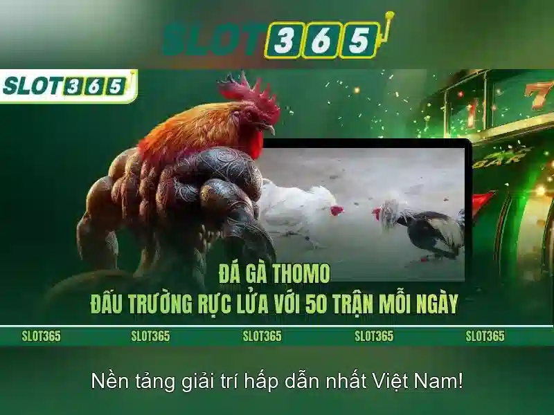 SLOT365 quyền lợi người chơi