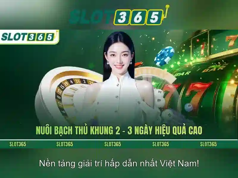 SLOT365